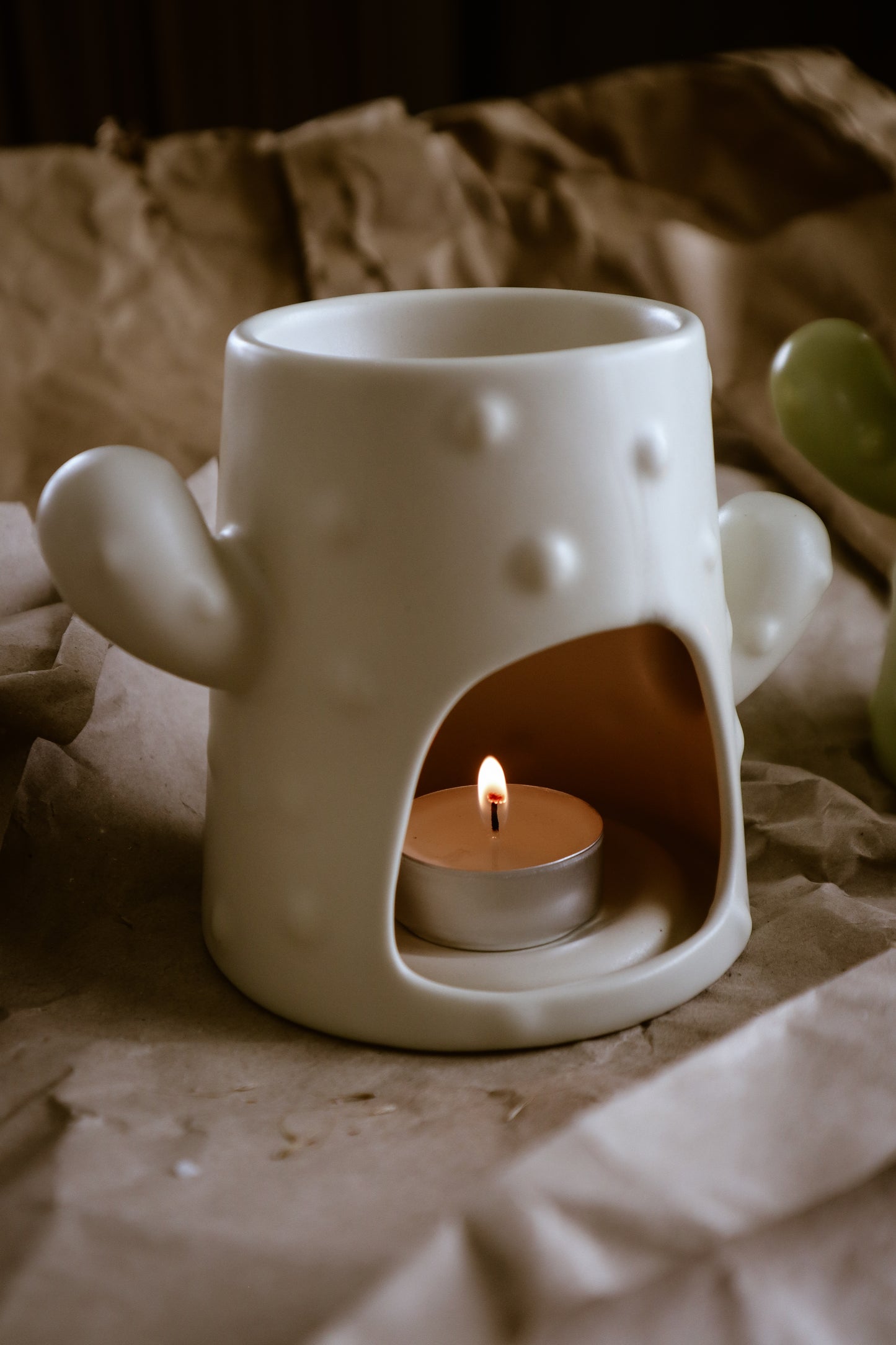 Cactus brander