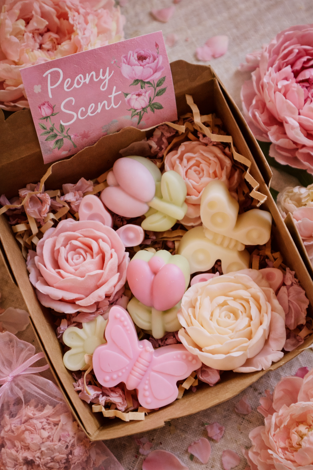 Waxmelts Roze pioen