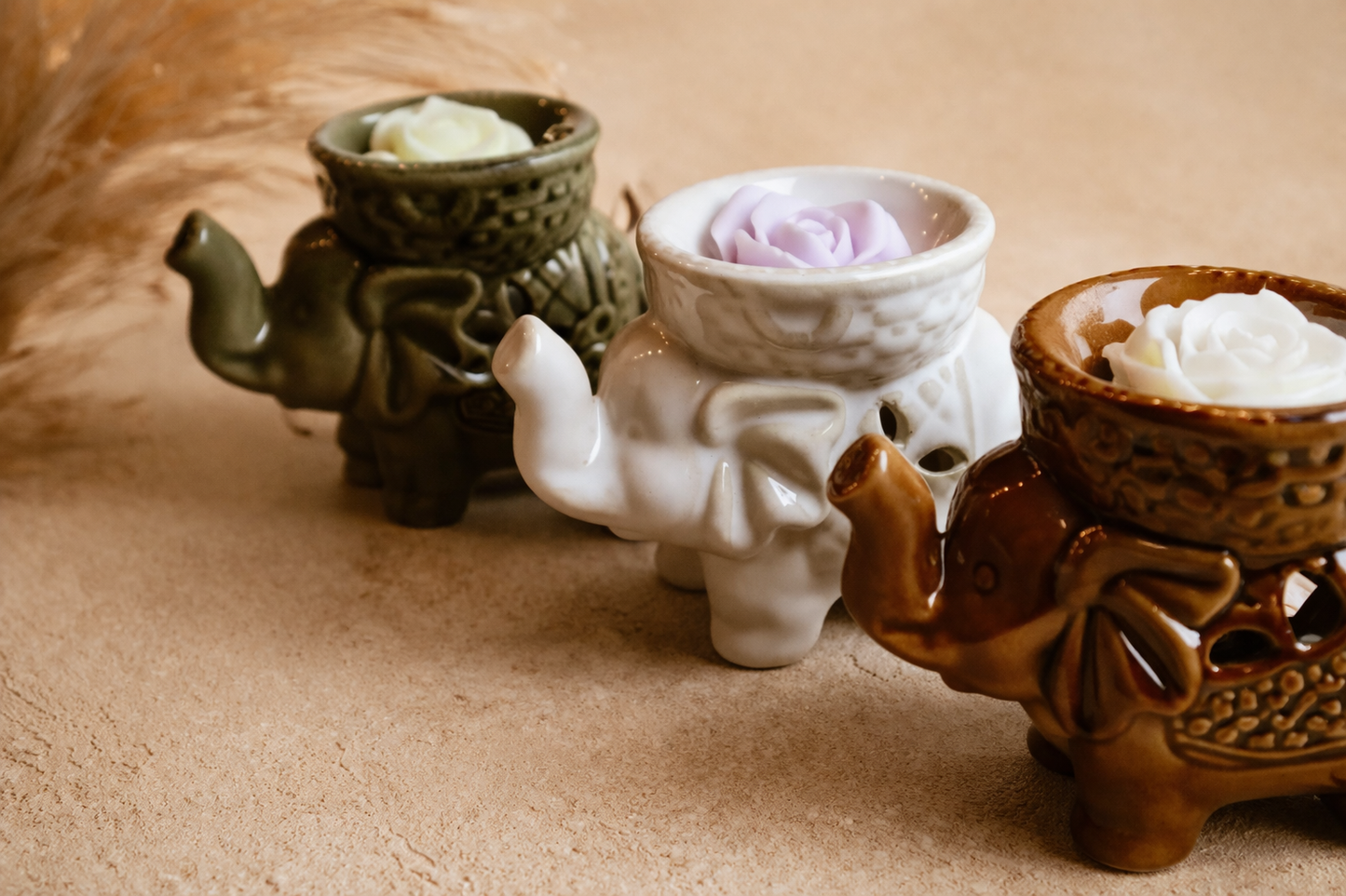 Elephant brander