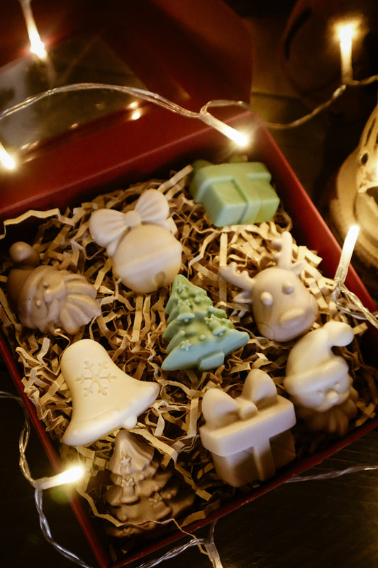 Waxmelts Appel/Kaneel